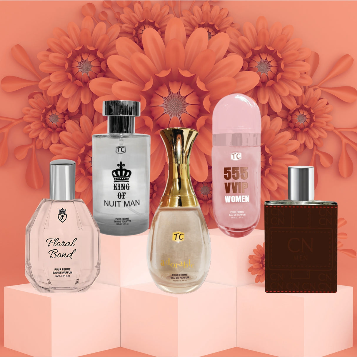 Pack 5x4 TC Surtido 100 ml