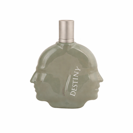Destiny Mujer EDP 100 ml / Body & Soul by Aliyah